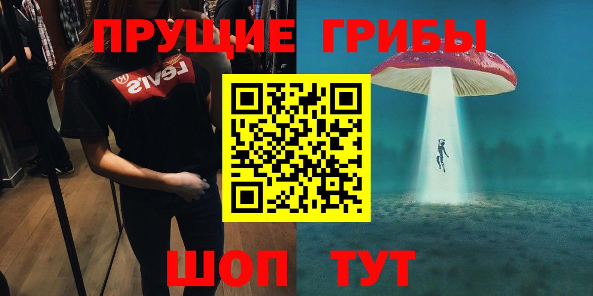 Псилоцибиновые грибы Psilocybine cubensis Ипатово