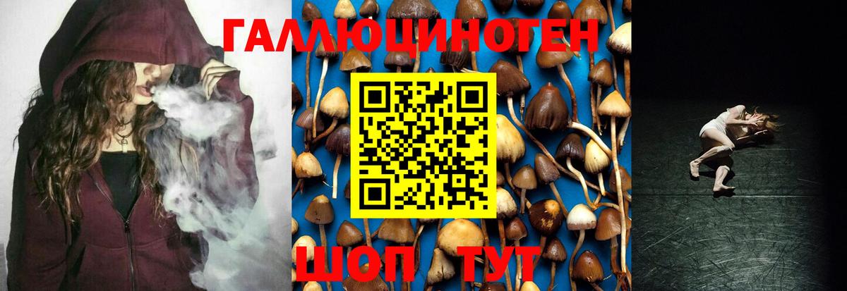 Псилоцибиновые грибы Cubensis  Вход с VPN  Ипатово 