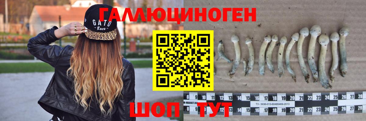 Псилоцибиновые грибы Ипатово
